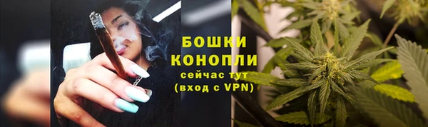 a pvp Белокуриха